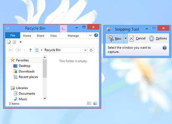 select the window you want to capture