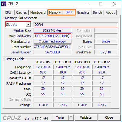 ram info