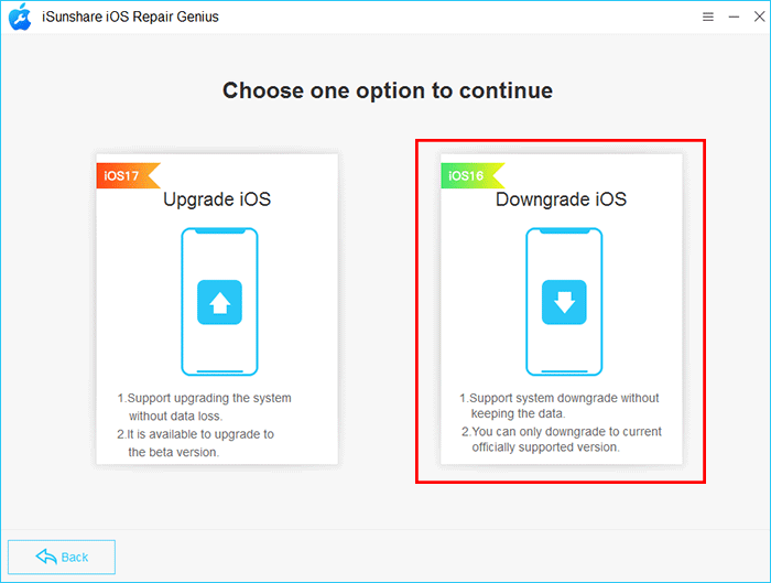 choose iOS Upgrade Downgrade option