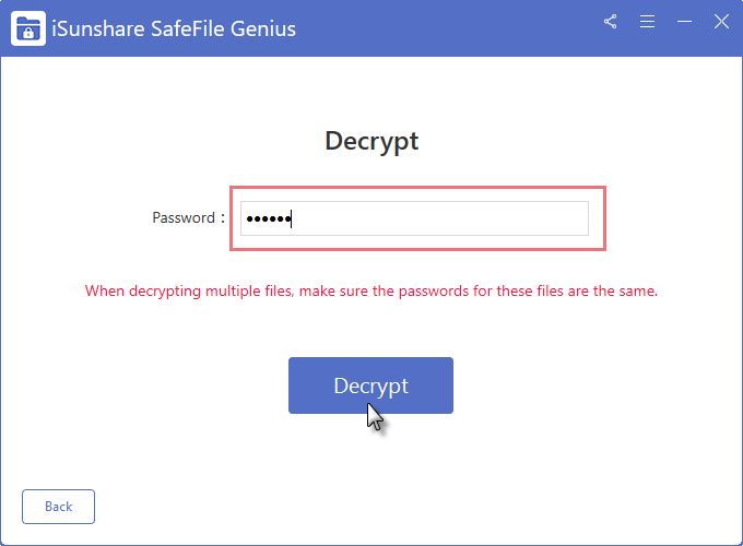 Enter the password to decrypt files