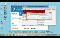 how to use PDF Password Genius Professional